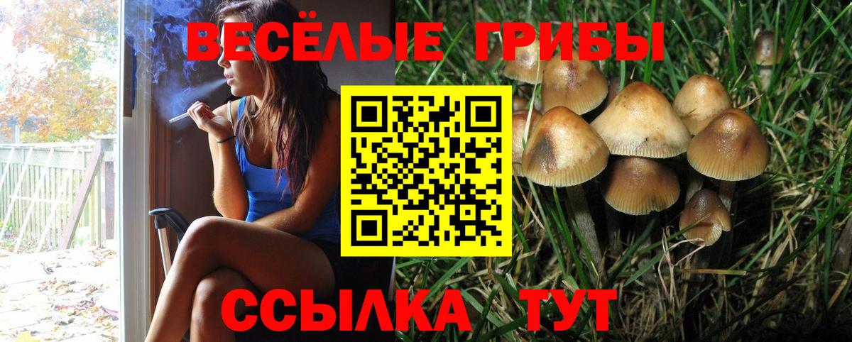 где найти   Галлюциногенные грибы прущие грибы  Галлюциногенные грибы мицелий  Вход с VPN  Верхняя Салда 